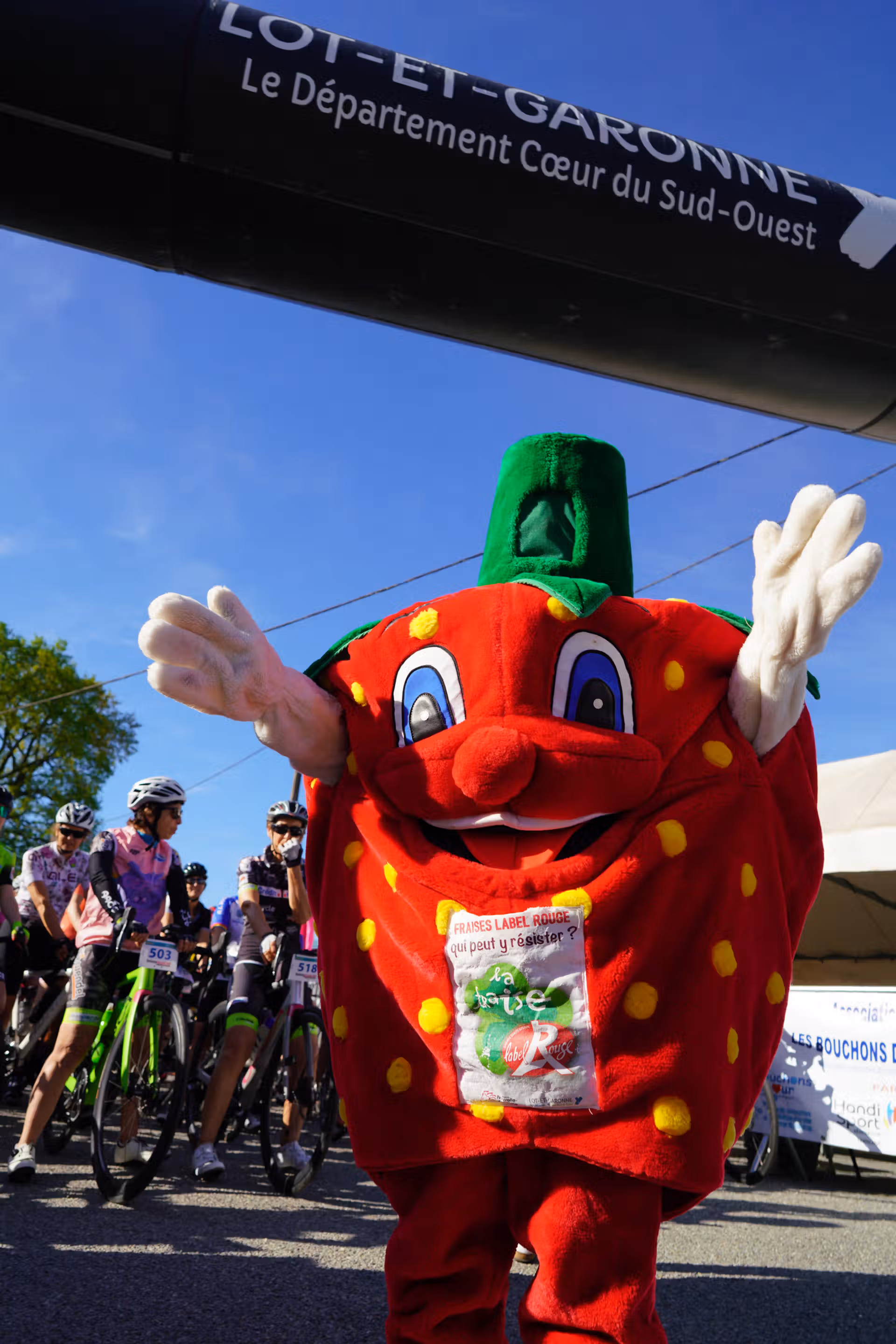 DSC00215 1 Lwsoptimized