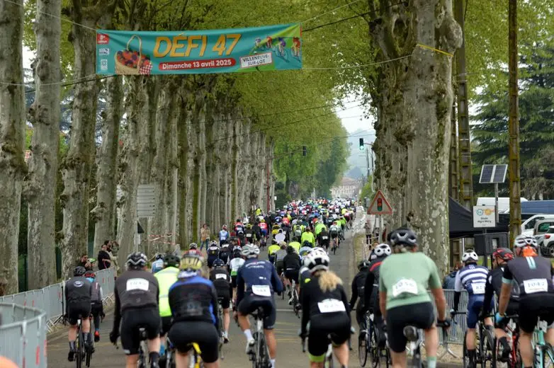 Image 11 Lwsoptimized